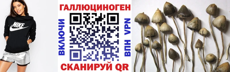 Псилоцибиновые грибы Psilocybe  Алексеевка 