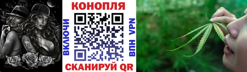 Каннабис OG Kush купить Алексеевка